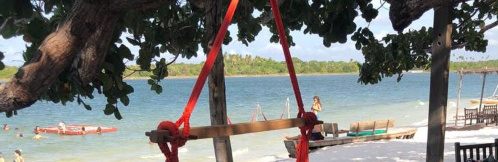 árvore a frente com lagoa do paraiso ao fundo