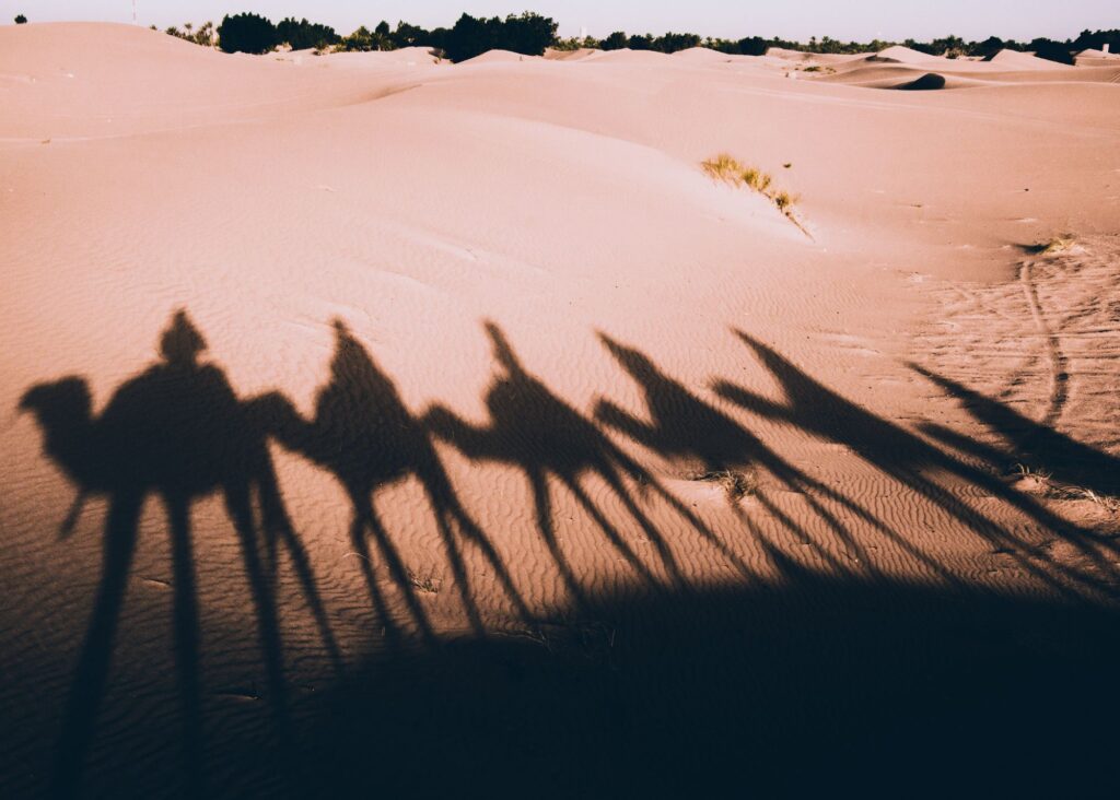 sombra de viajantes em camelos no deserto