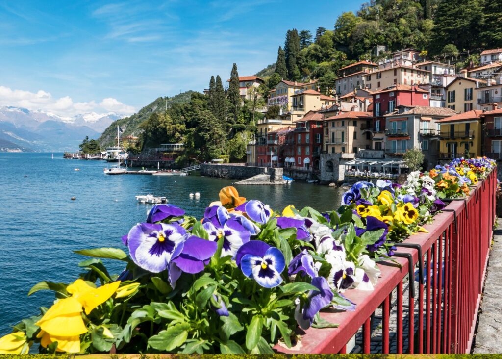 flores com lago e casas ao pé da montanha de fundo