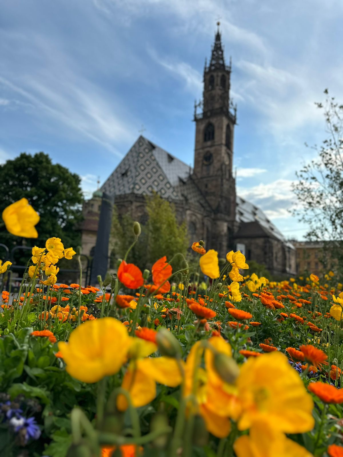 flores de jardim com igreja ao fundo